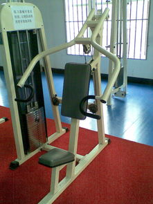 健身器材入门指南 常见器械功能与使用简介